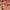 Clos Alzeto
